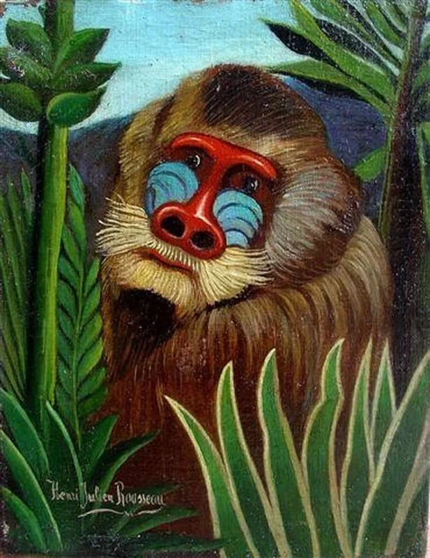 Mandrillo nella giungla, 1909